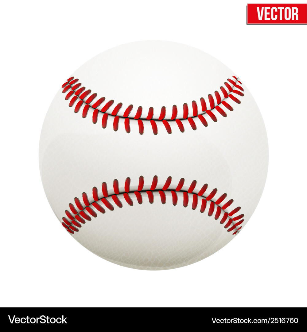 Baseball Leather Ball Vector Image