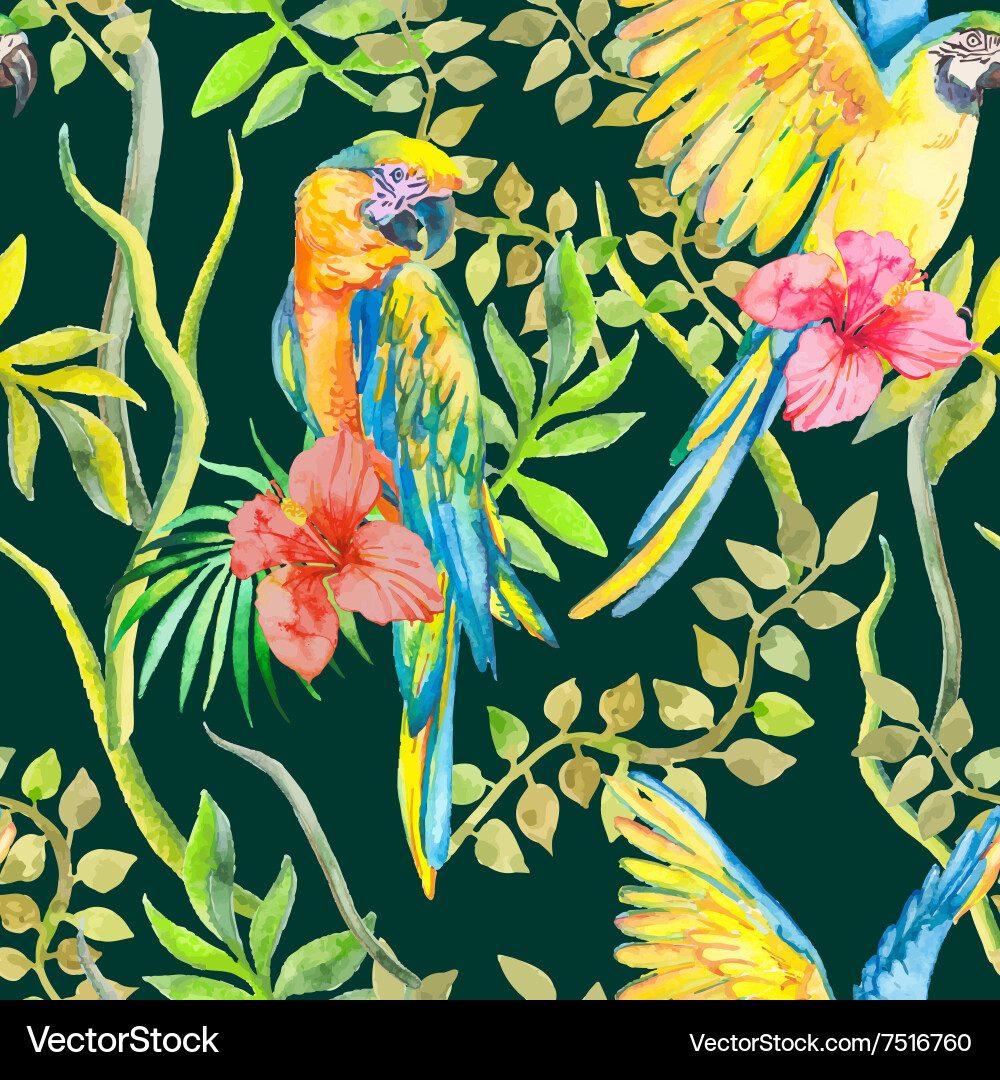 Macaw Feather Pattern - Tropical Leaves Vector Image