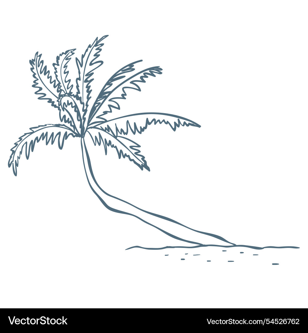 Palm tree Royalty Free Vector Image - VectorStock