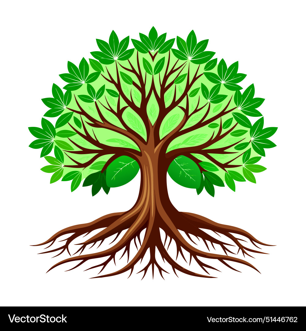 Tree with roots Tree with roots vector image