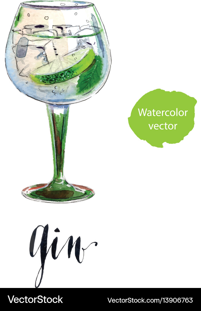 Gin and Lime Cocktail vector image