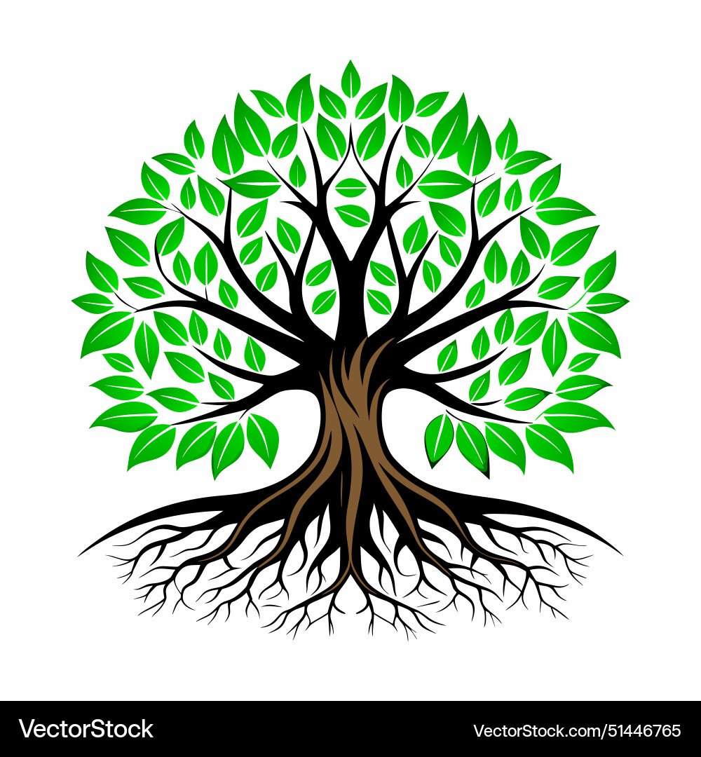 Tree with roots Tree with roots Vector Image