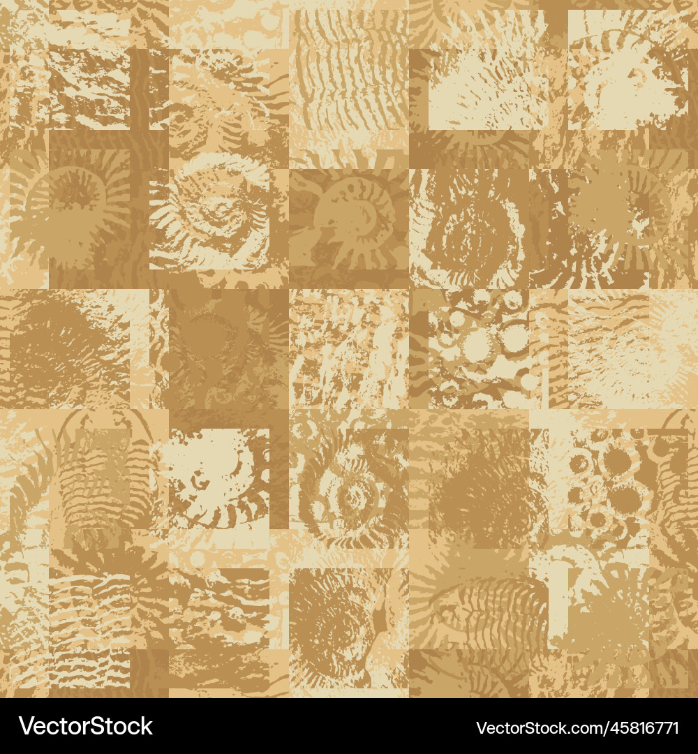 Ancient Fossil Stone Pattern vector image