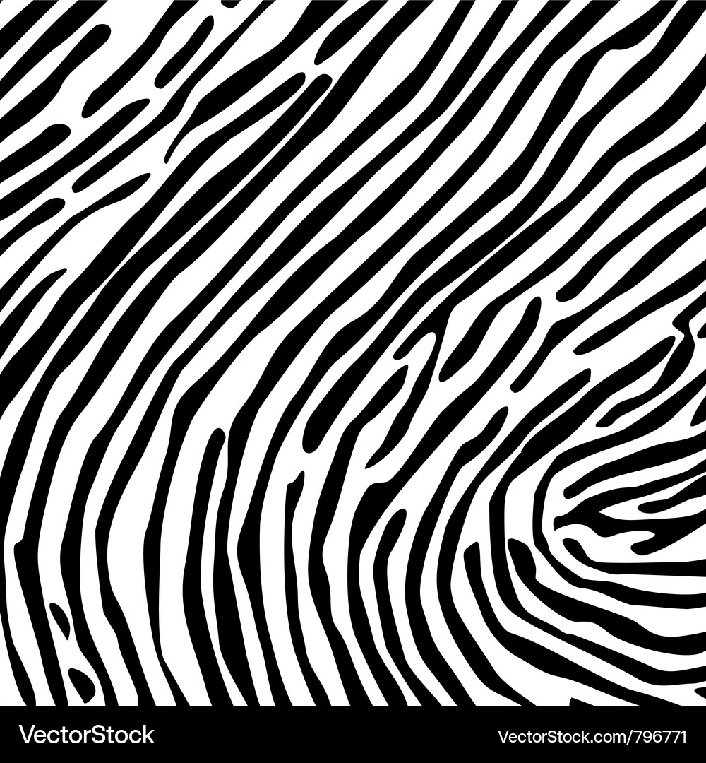 Zebra Stripes Pattern Vector Image