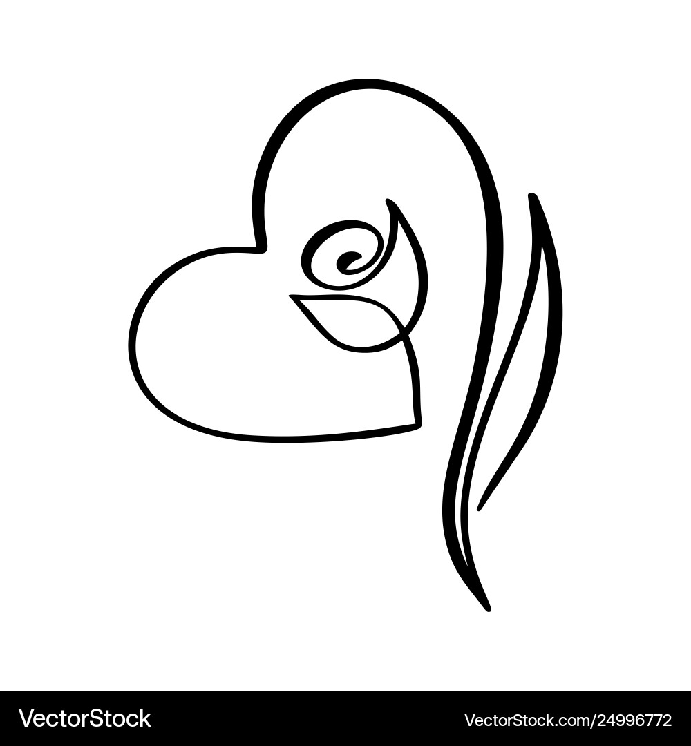 Rose flower concept continuous line hand drawing Rose flower concept continuous line hand drawing vector image