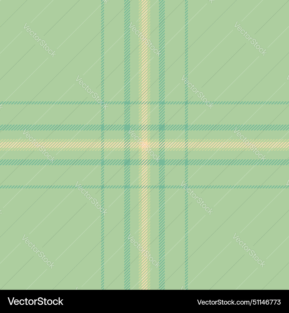 Seamless textile of pattern fabric tartan with a Vector Image