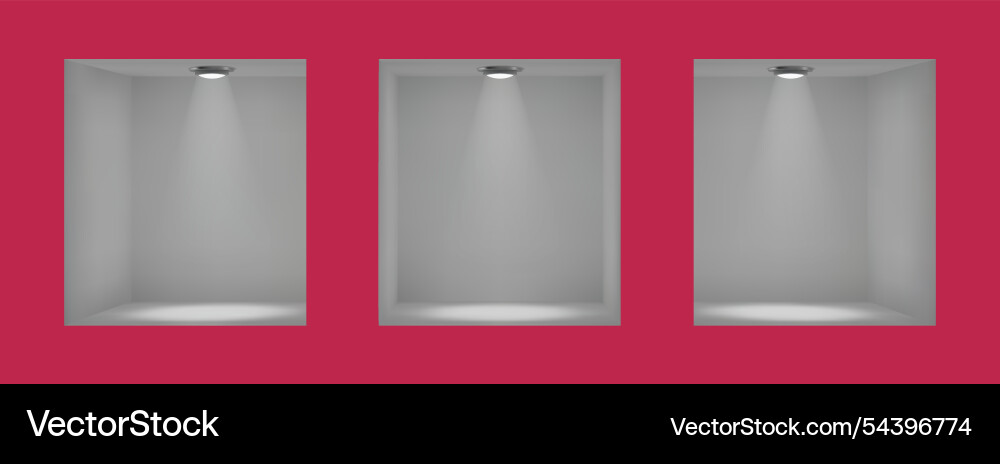 Modern Empty Display Shelf vector image