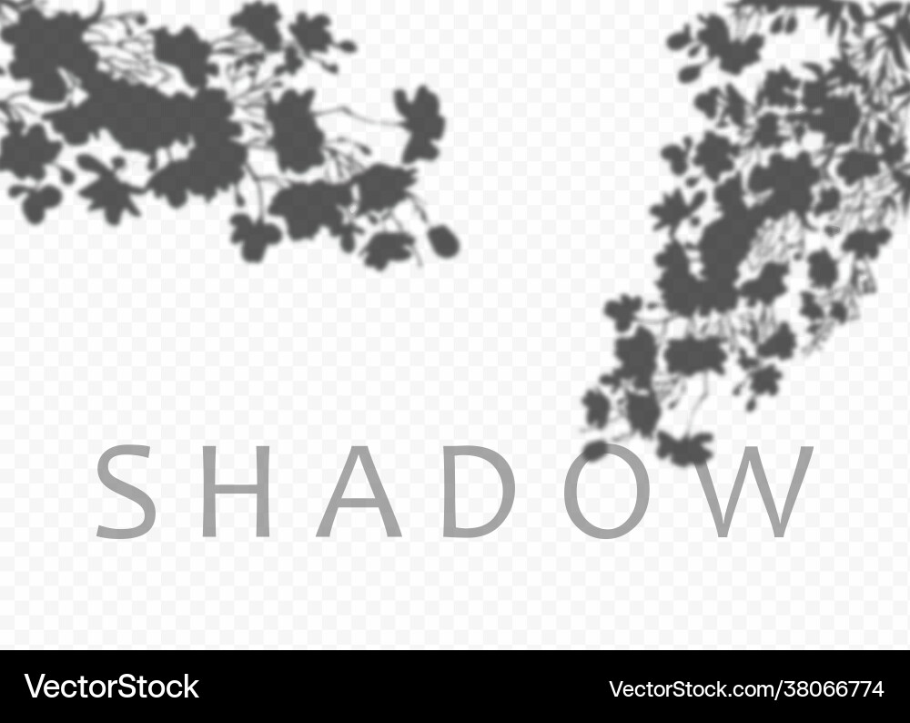 Shadow overlay effect transparent soft light Shadow overlay effect transparent soft light vector image