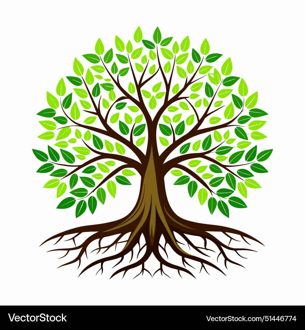 Tree with roots Tree with roots vector image
