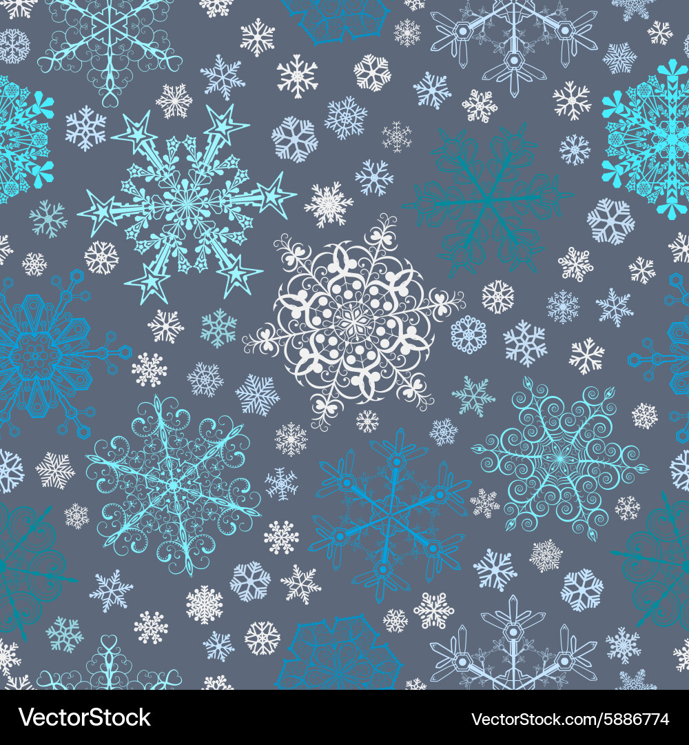 Winter Snowflake Pattern vector image