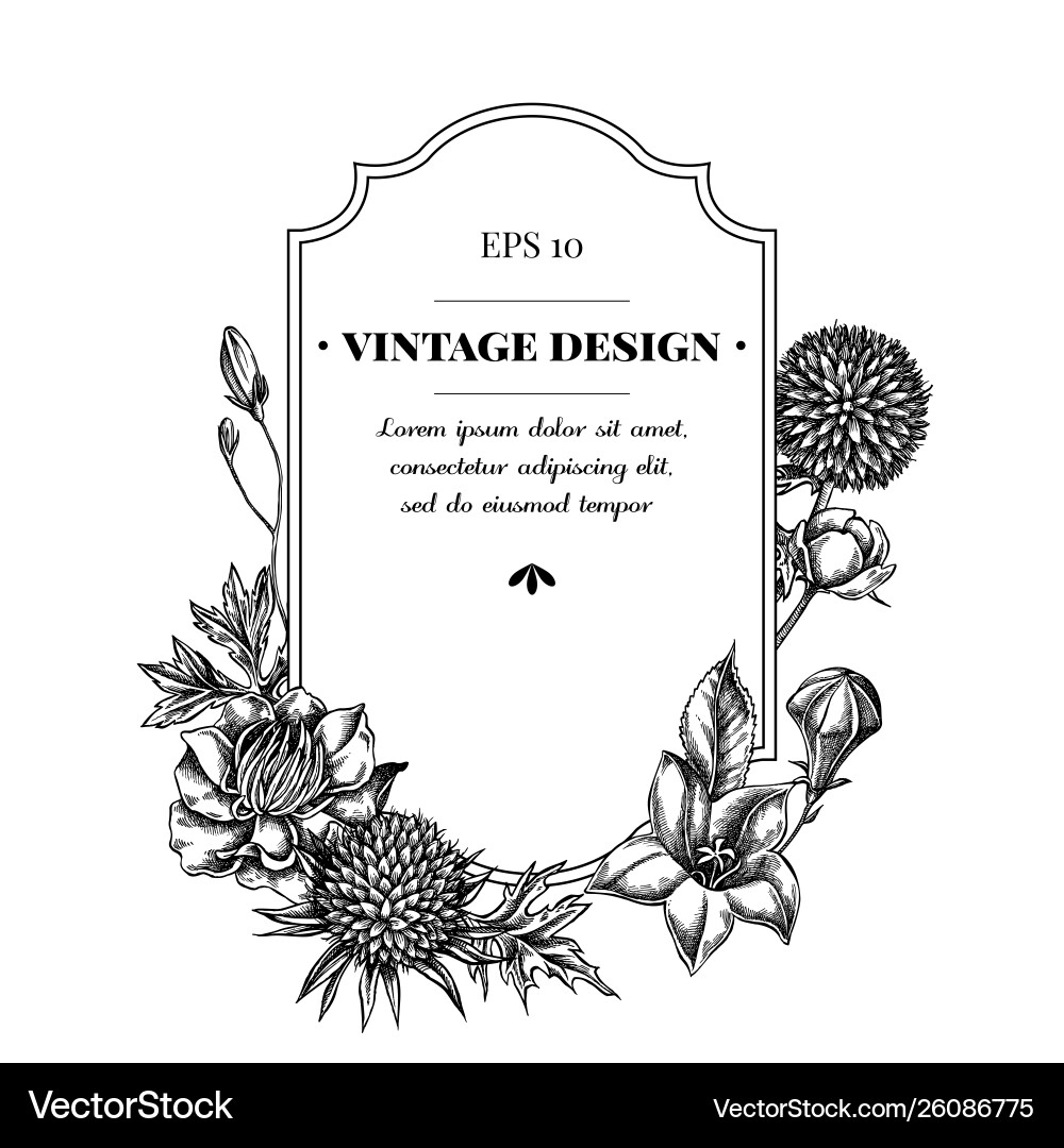Badge design with black and white bellflower Badge design with black and white bellflower vector image