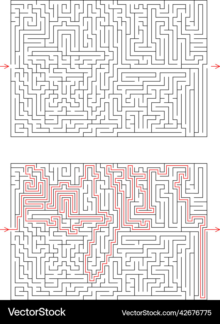 Complex Rectangular Labyrinth vector image