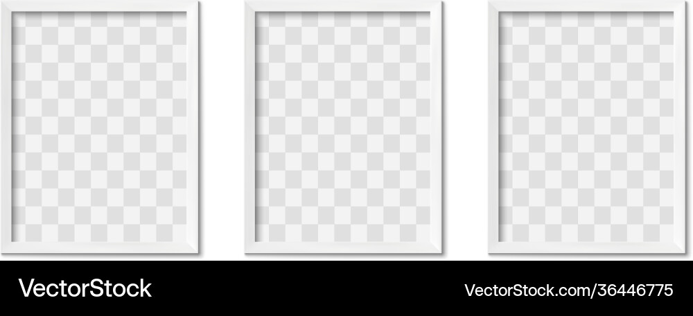 White photo frames empty gray simple image square White photo frames empty gray simple image square vector image