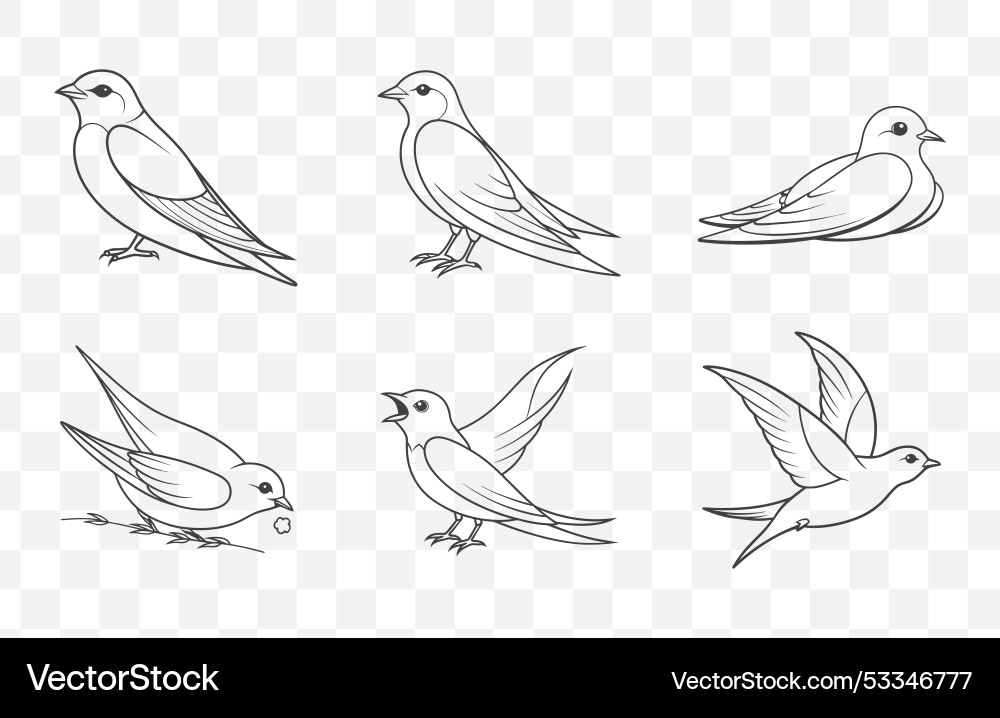 Print swift line art set with detailed Print swift line art set with detailed vector image