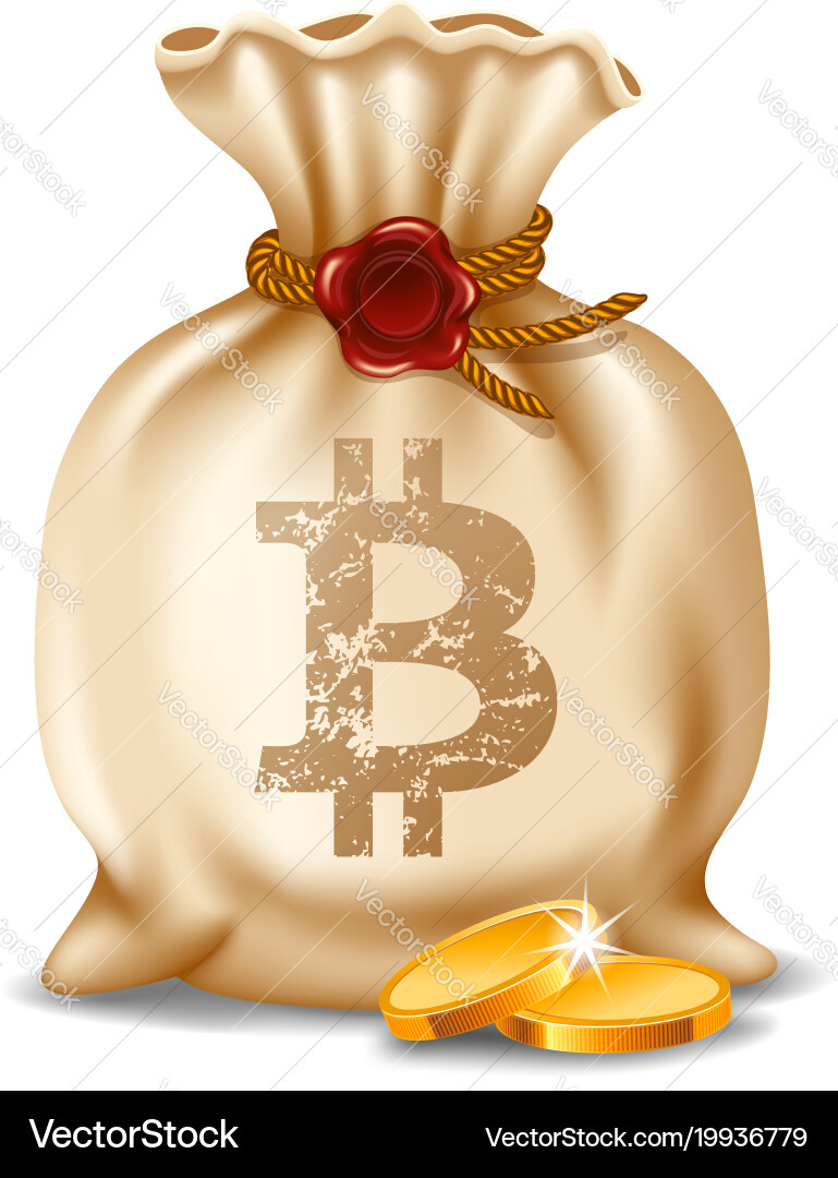 Bitcoin in the bag (19936779) – Royalty-Free Vector | VectorStock