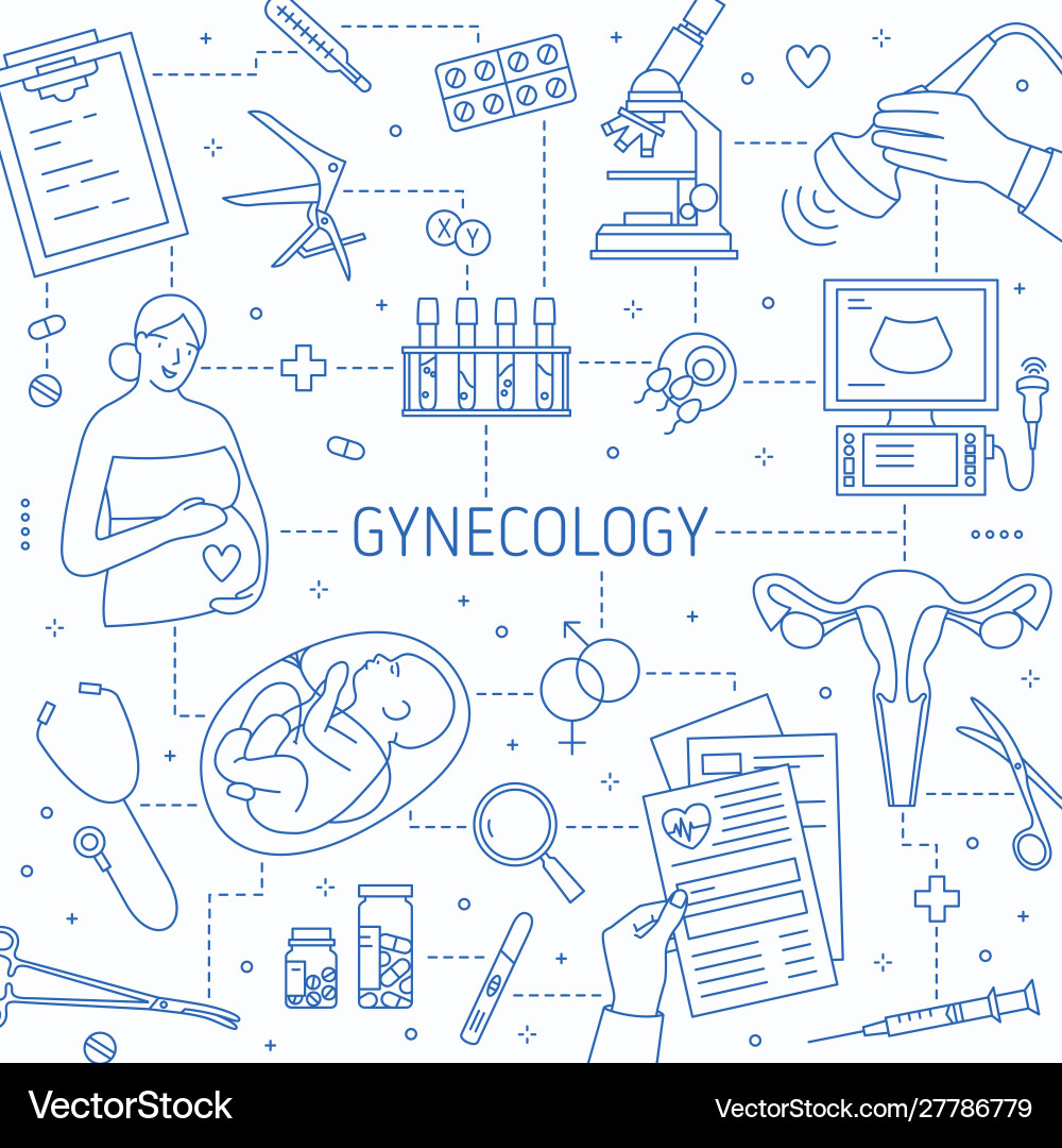 Gynecology lineart banner template Royalty Free Vector Image