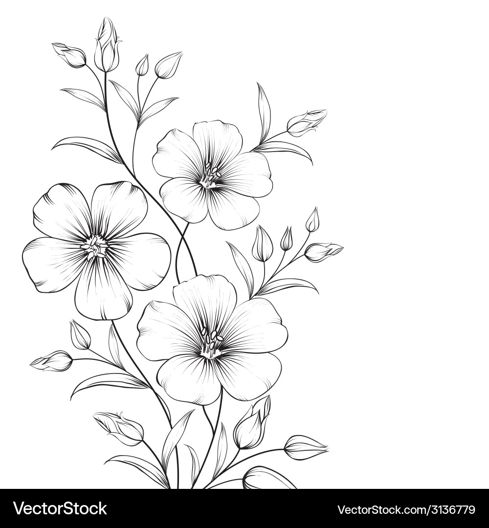 Linum flower Royalty Free Vector Image - VectorStock