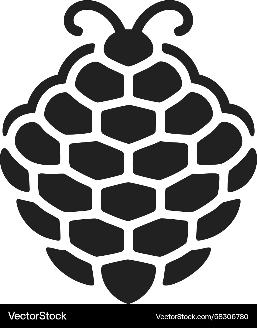 Honeycomb Hexagonal Pattern Vector Image