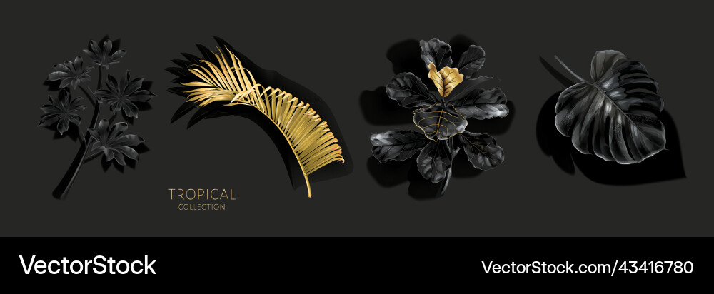 Set with gold black tropical leaves