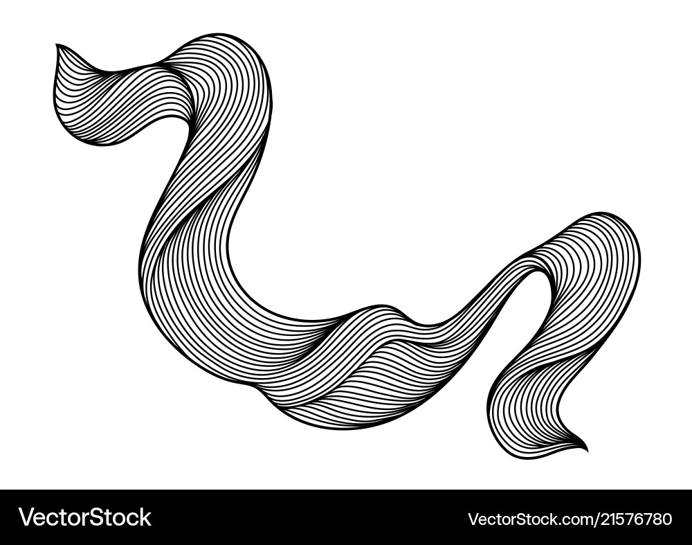 Wave hair line curl Wave hair line curl vector image