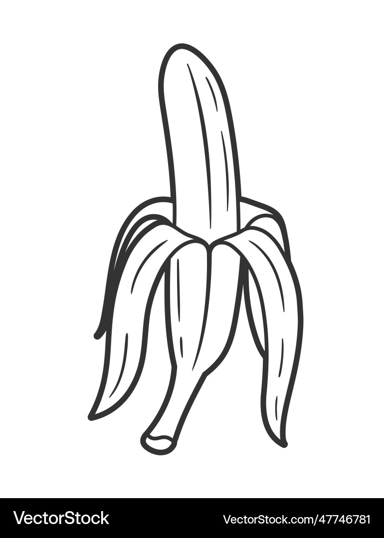 Linie Kunst der Bananen isoliert auf weißem Hintergrund Linie Kunst der Bananen isoliert auf weißem Hintergrund vektorbild