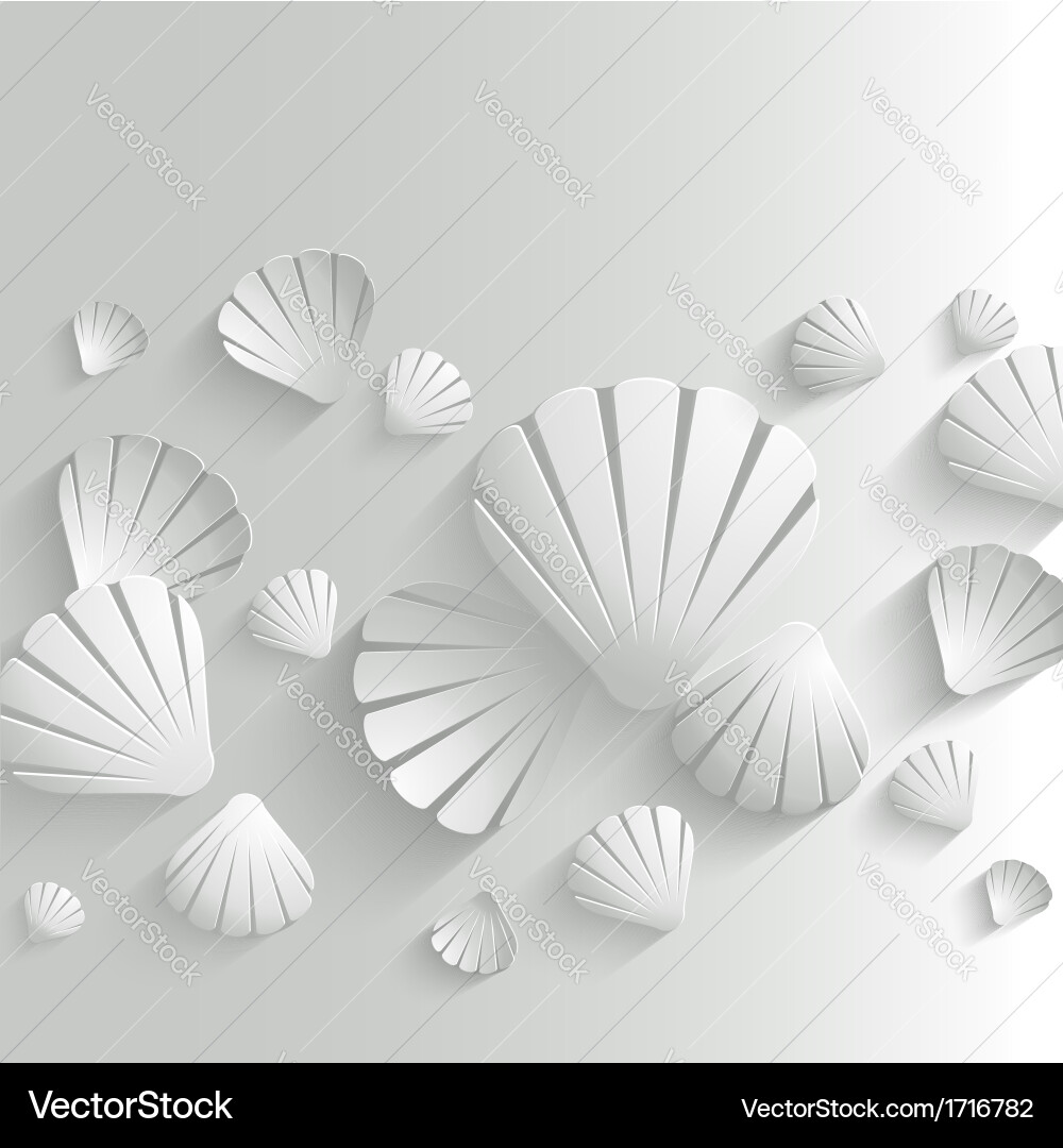 White Seashell Pattern vector image