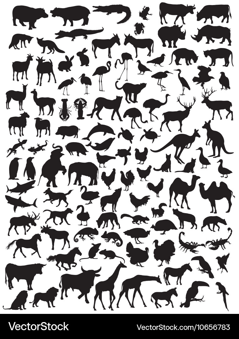 Animal Silhouettes Collection vector image