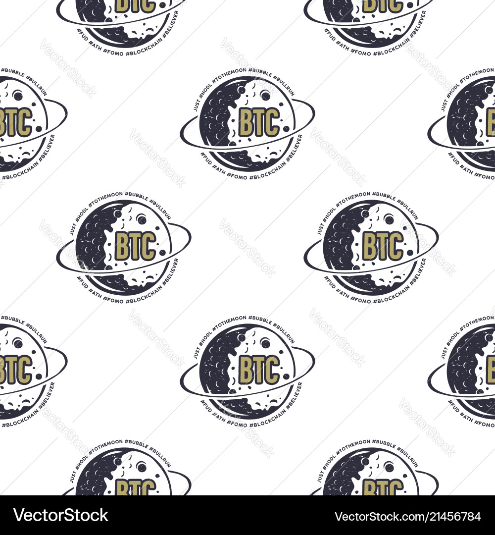 Bitcoin Crypto Pattern - Moon & Blockchain vector image