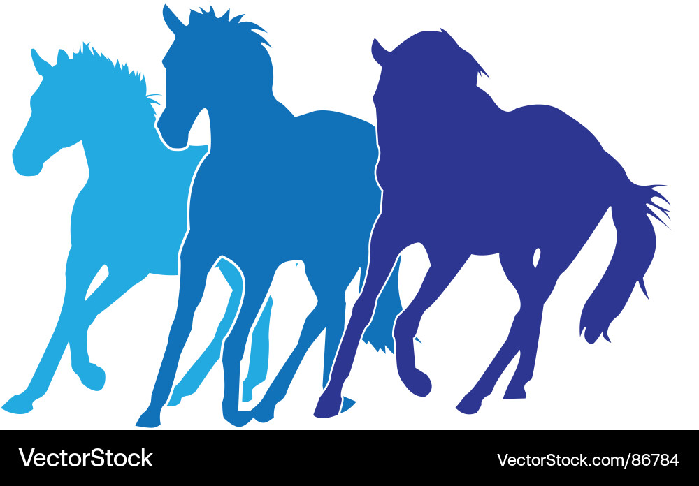 Horse Silhouettes - Galloping Horses vector image