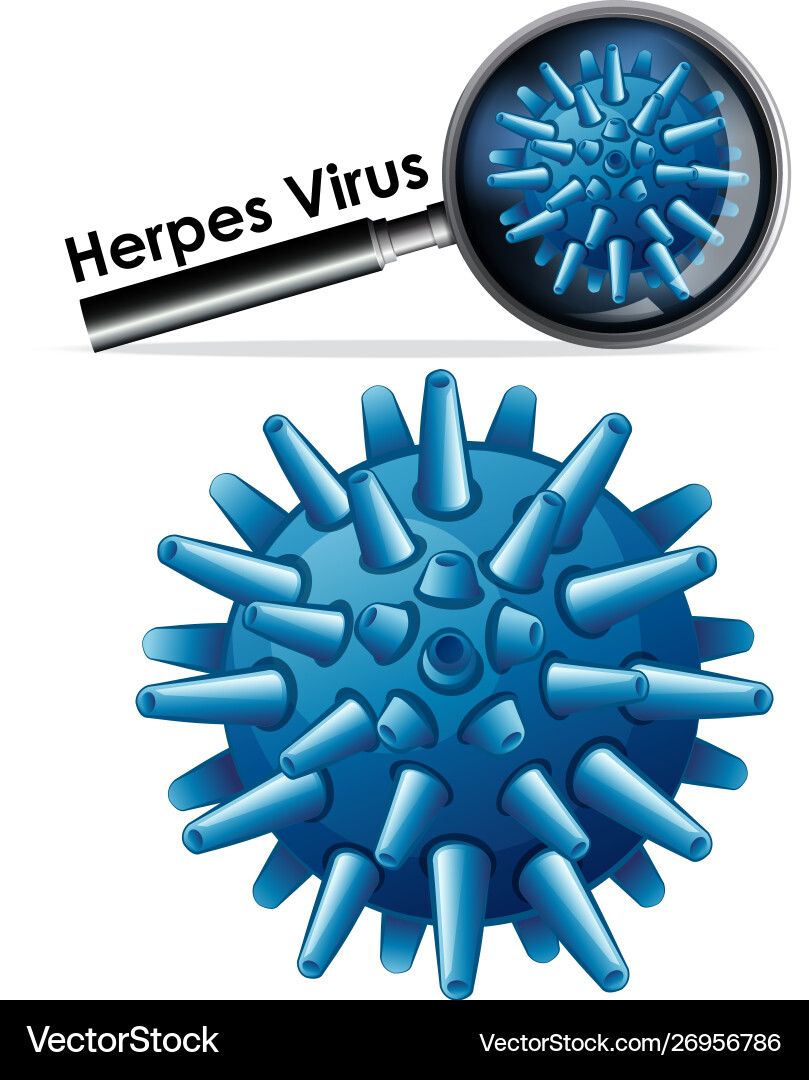 Close up isolated object virus named herpes Close up isolated object virus named herpes Vector Image