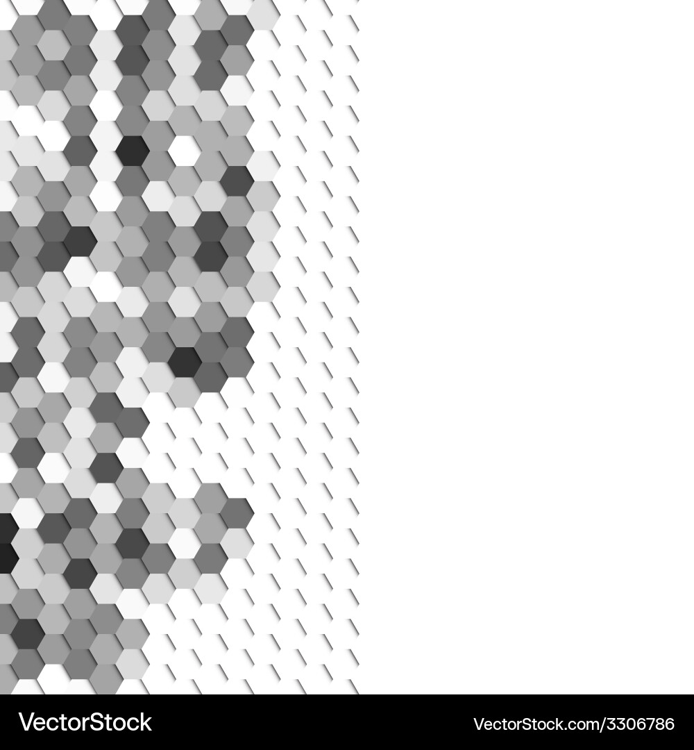 Gray geometric background abstract hexagonal vector image