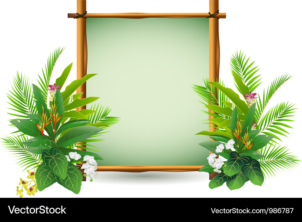 Tropical Plant Decoration Vector Image