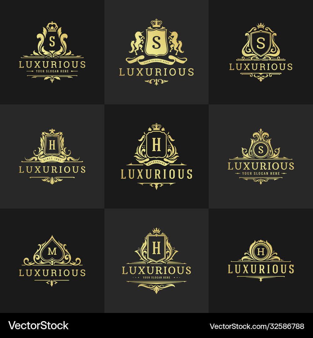 Luxury Vintage Crest & Monogram Set vector image