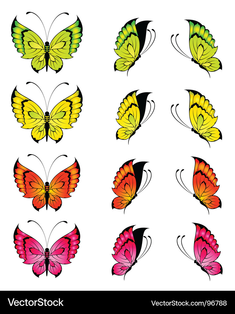 Vibrant Butterfly Vector Image