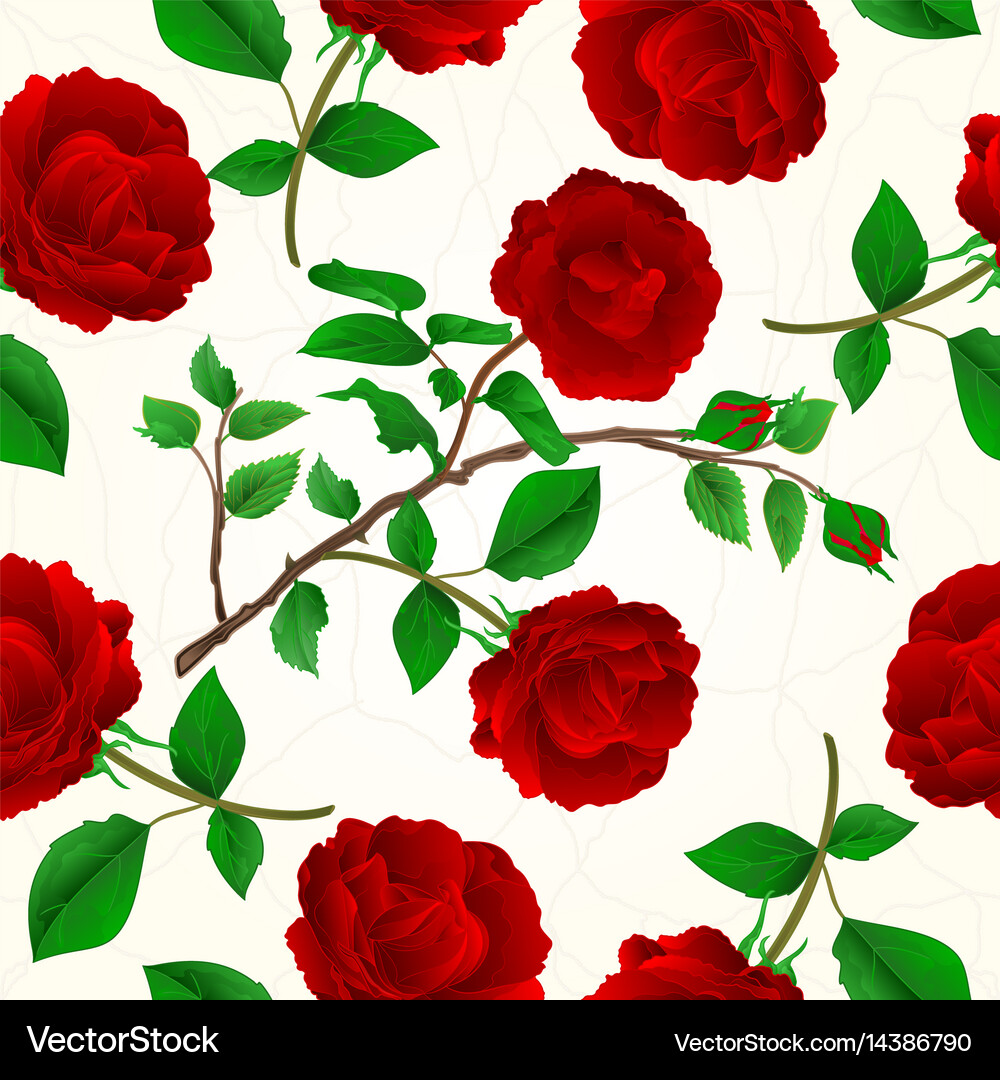 Rose Texture Seamless Pattern Royalty Free Vector Image