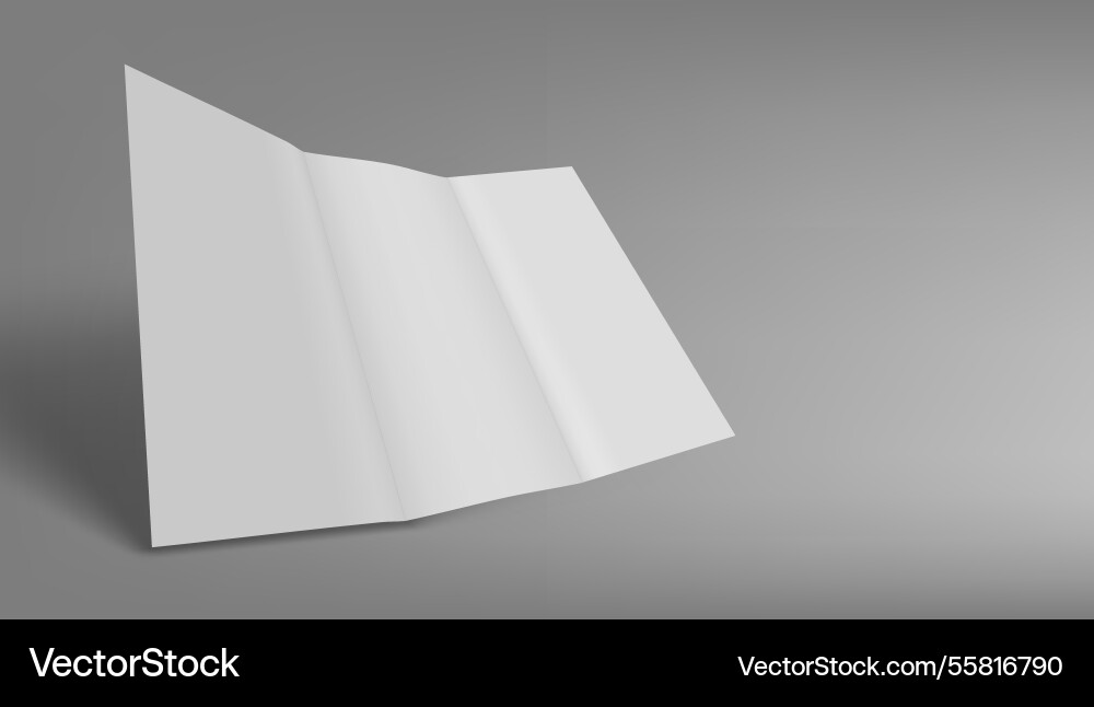 White blank open three panel folded with shadow vector image