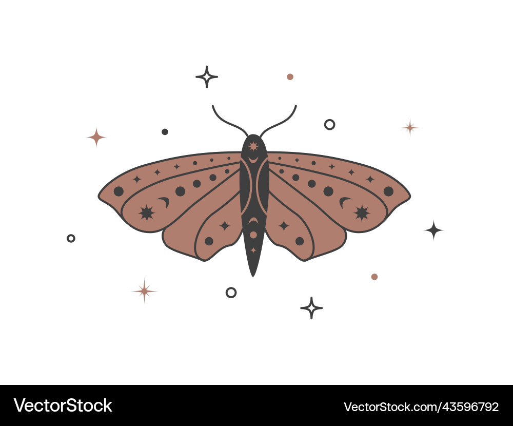 Mystical celestial golden moth with stars Mystical celestial golden moth with stars vector image
