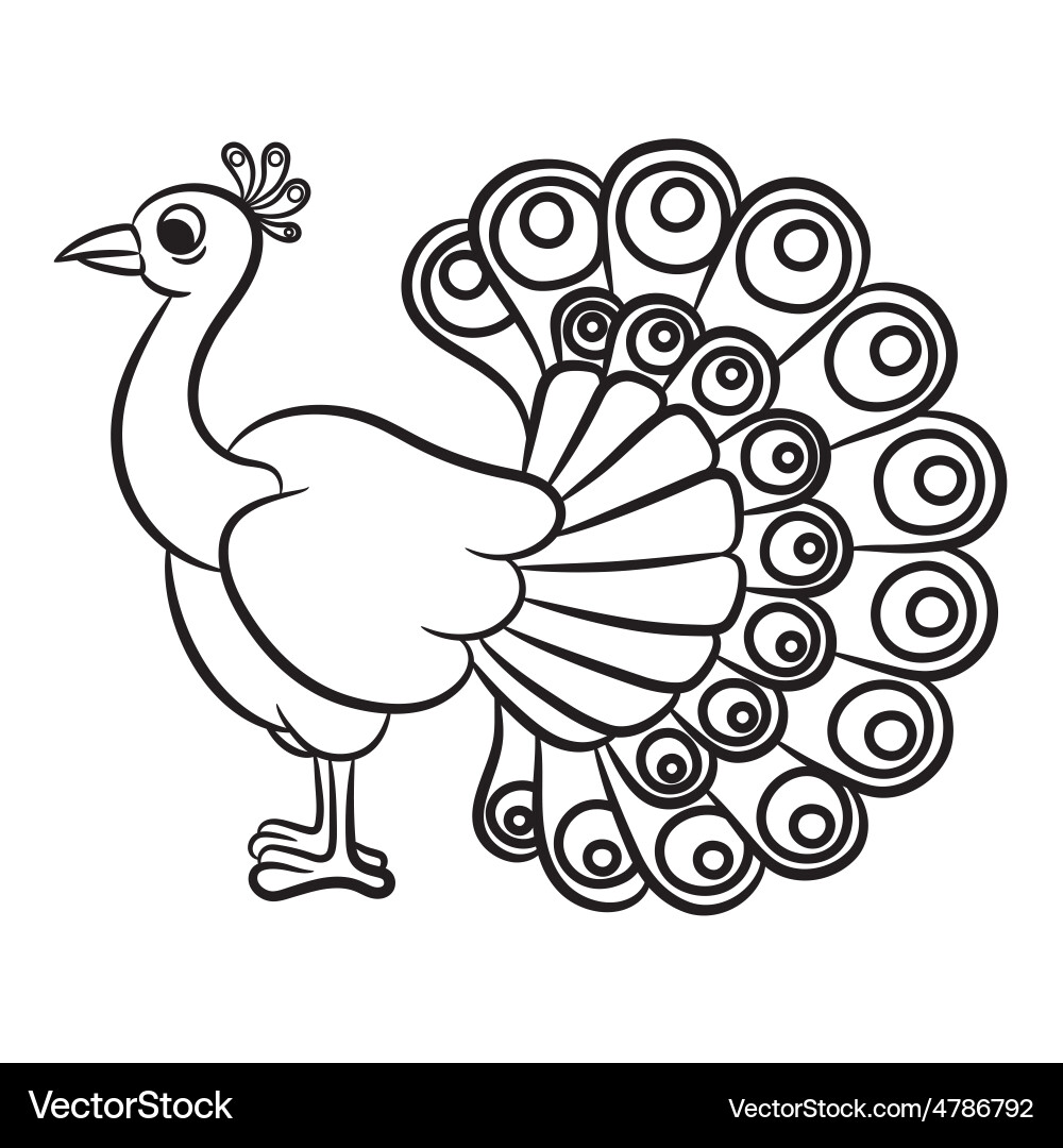 Outlined Peacock Bird Vector Image