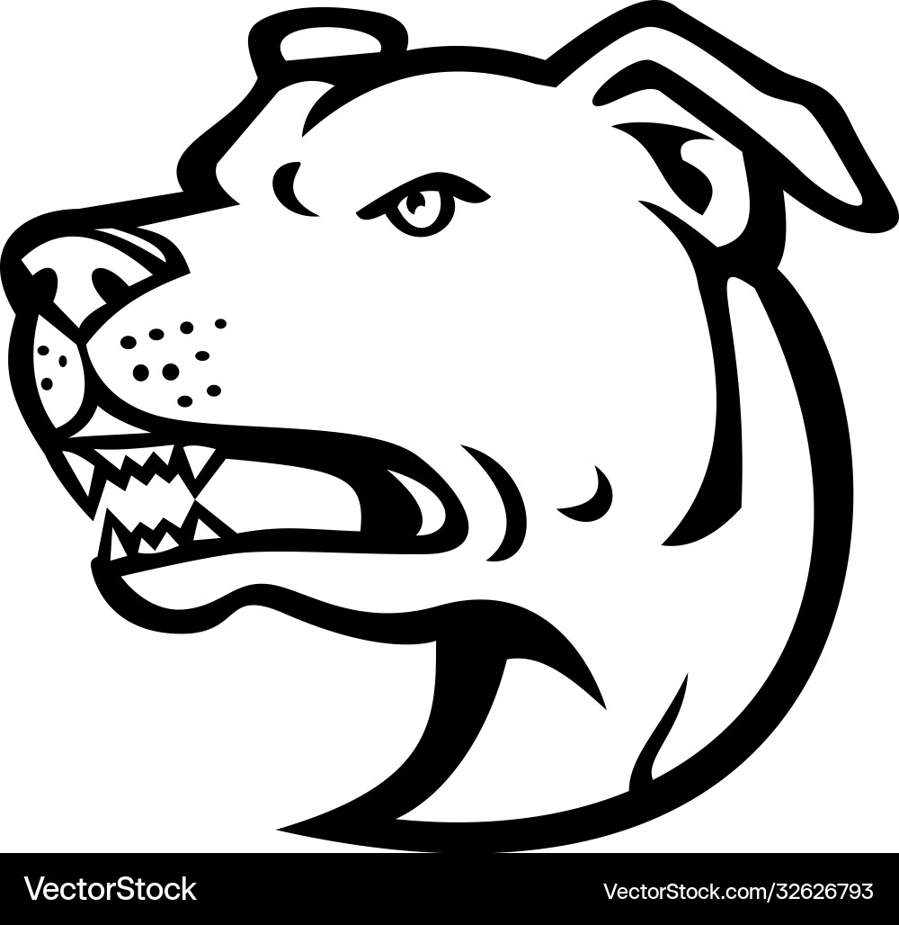 American staffordshire terrier head mascot black vector image