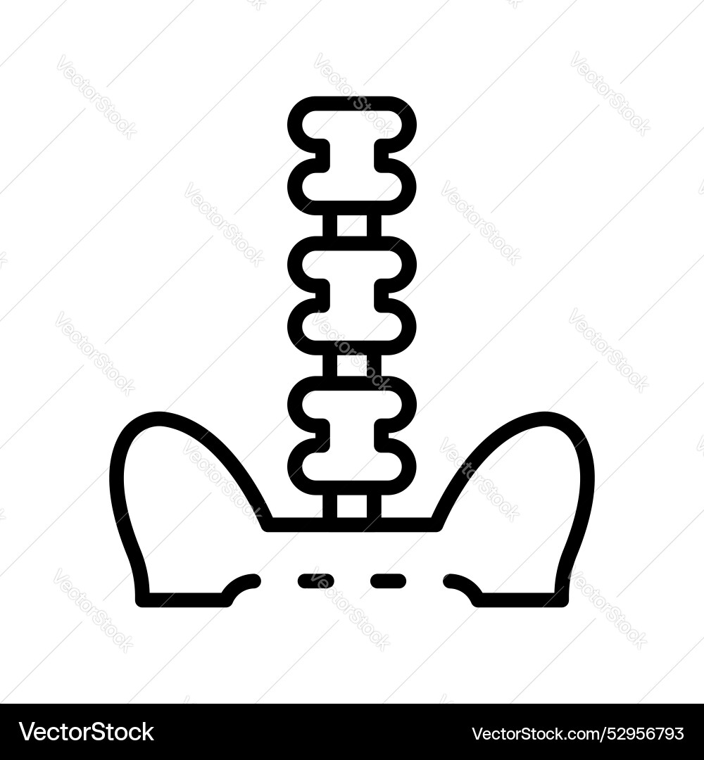 Backbone icon outline style design isolated Backbone icon outline style design isolated Vector Image