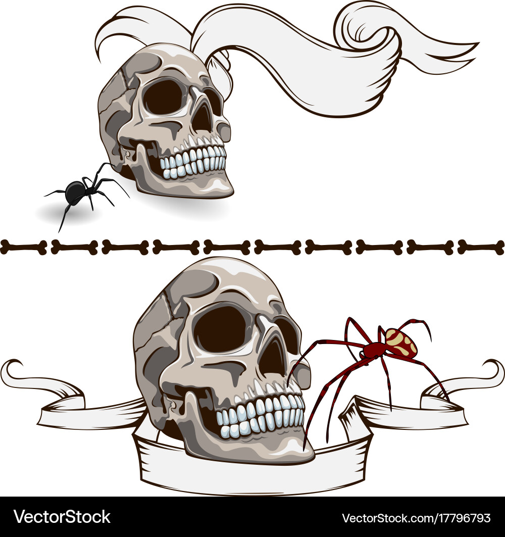 Old skull banners Vector Image