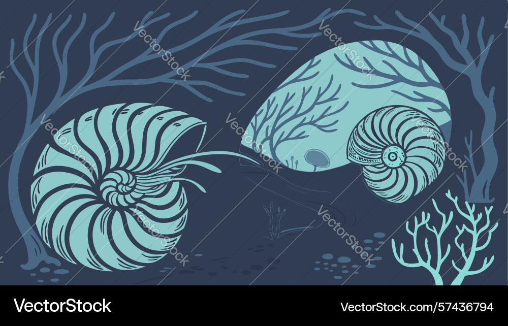 Abstract spiral shell with underwater elements vector image