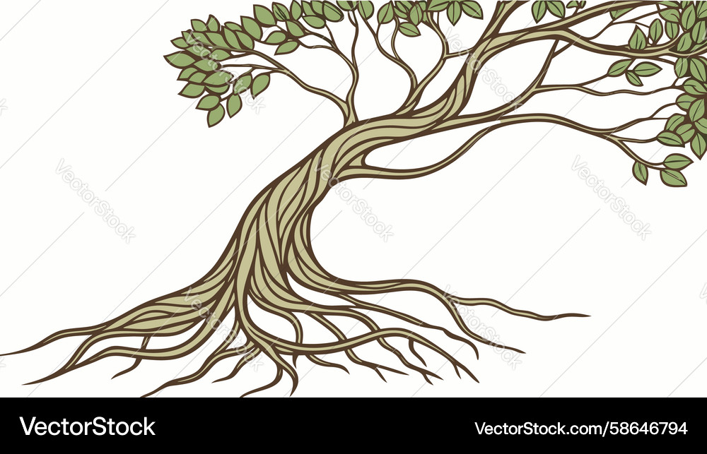 Ancient Tree with Roots Vector Image