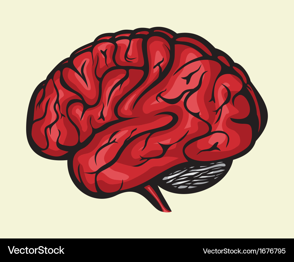 Brain3 resize vector image