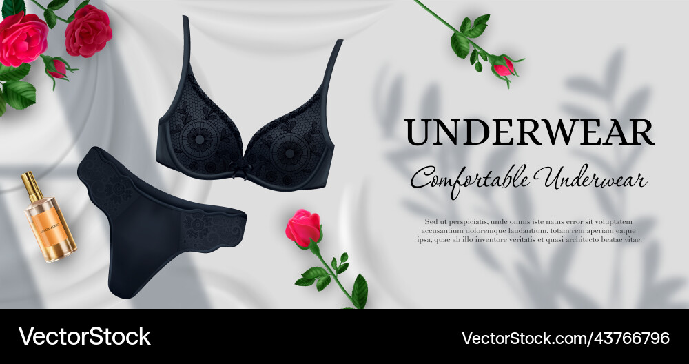 Schwarz feminine Unterwäsche Hintergrund Schwarz feminine Unterwäsche Hintergrund vektorbild
