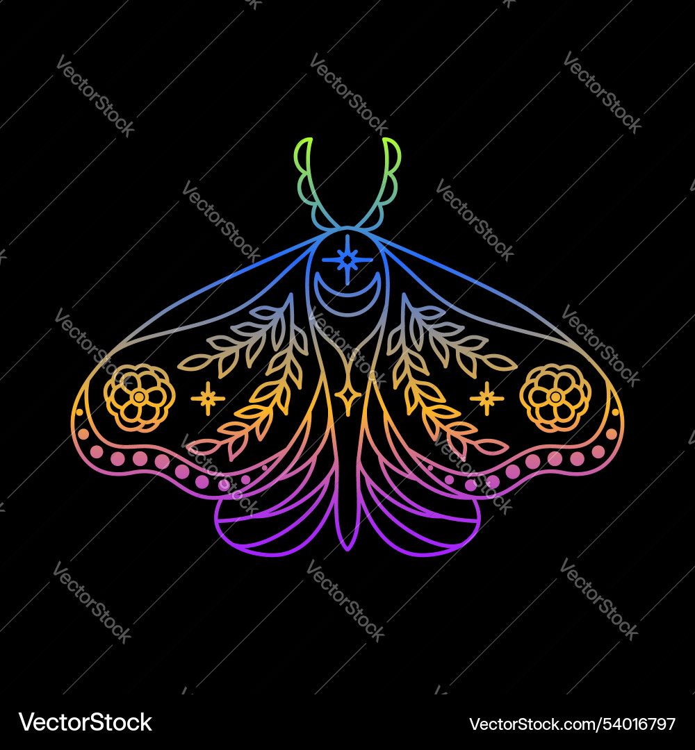 Mystic moth in linear style with gradient colours vector image