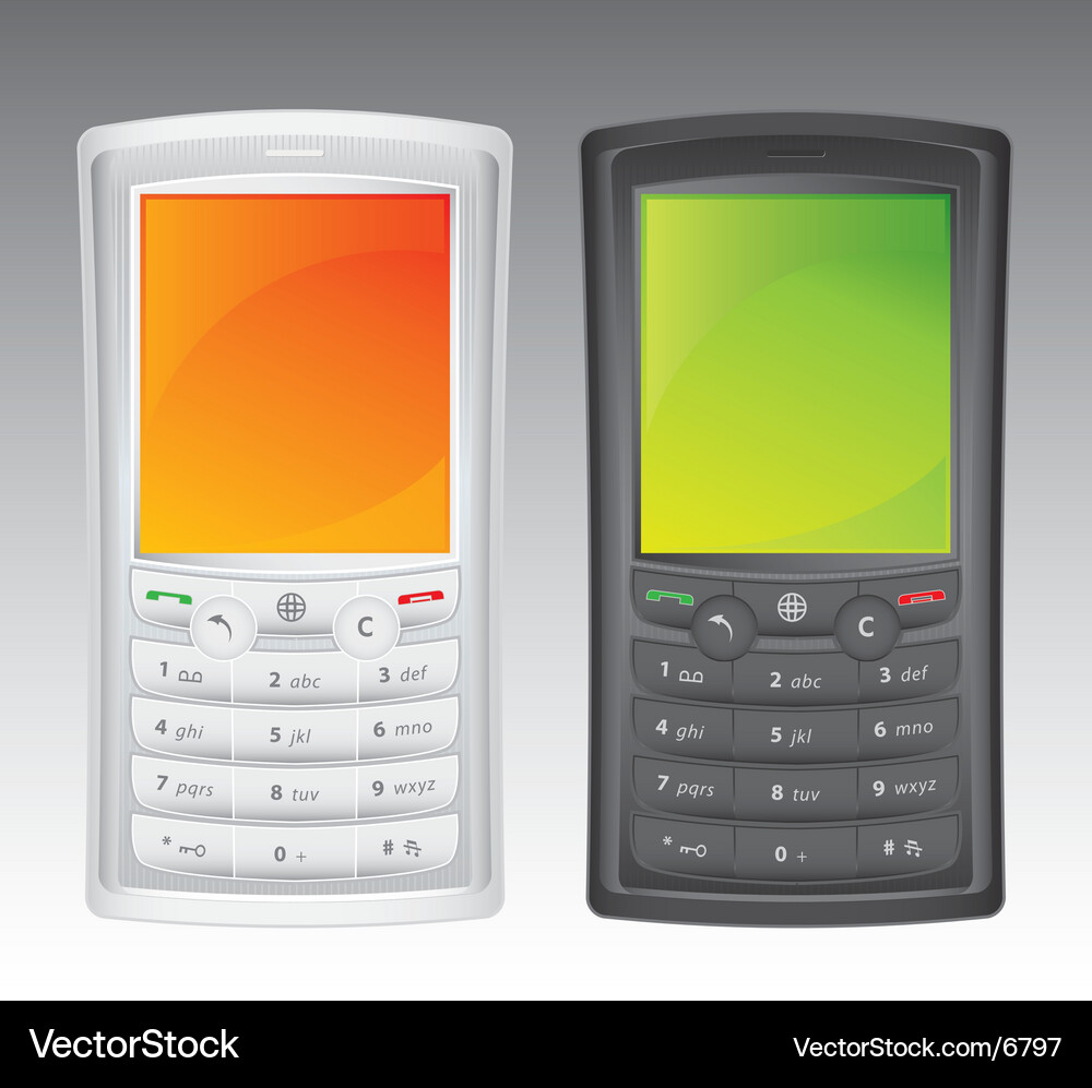 Smartphone Display Vector Image