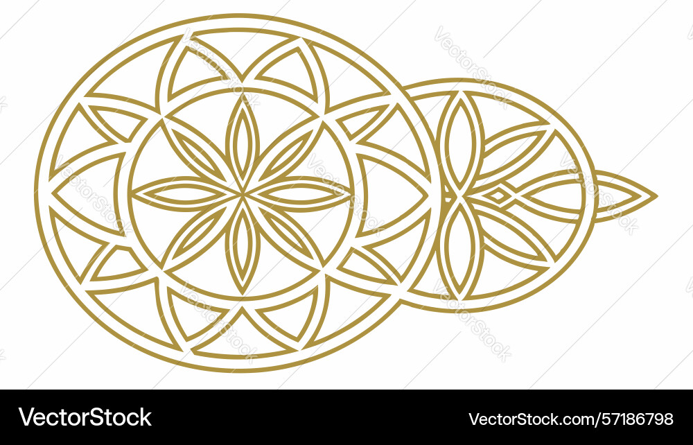 Star pattern within circular geometry abstract vector image