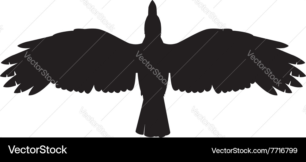 A crow symbol Vector Image