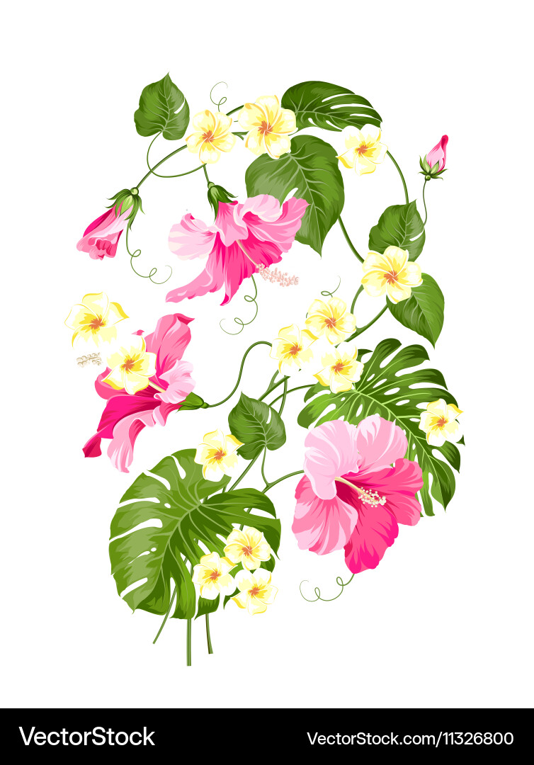 Floral garland card Vector Image